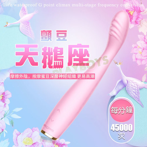 顫豆天鵝座